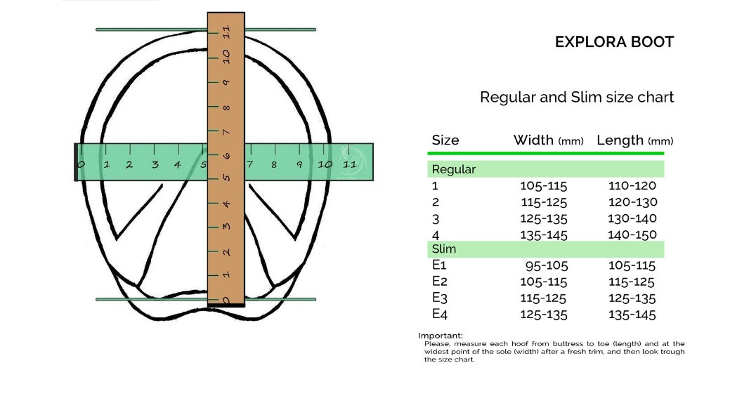 Explora Hoof Boots Review