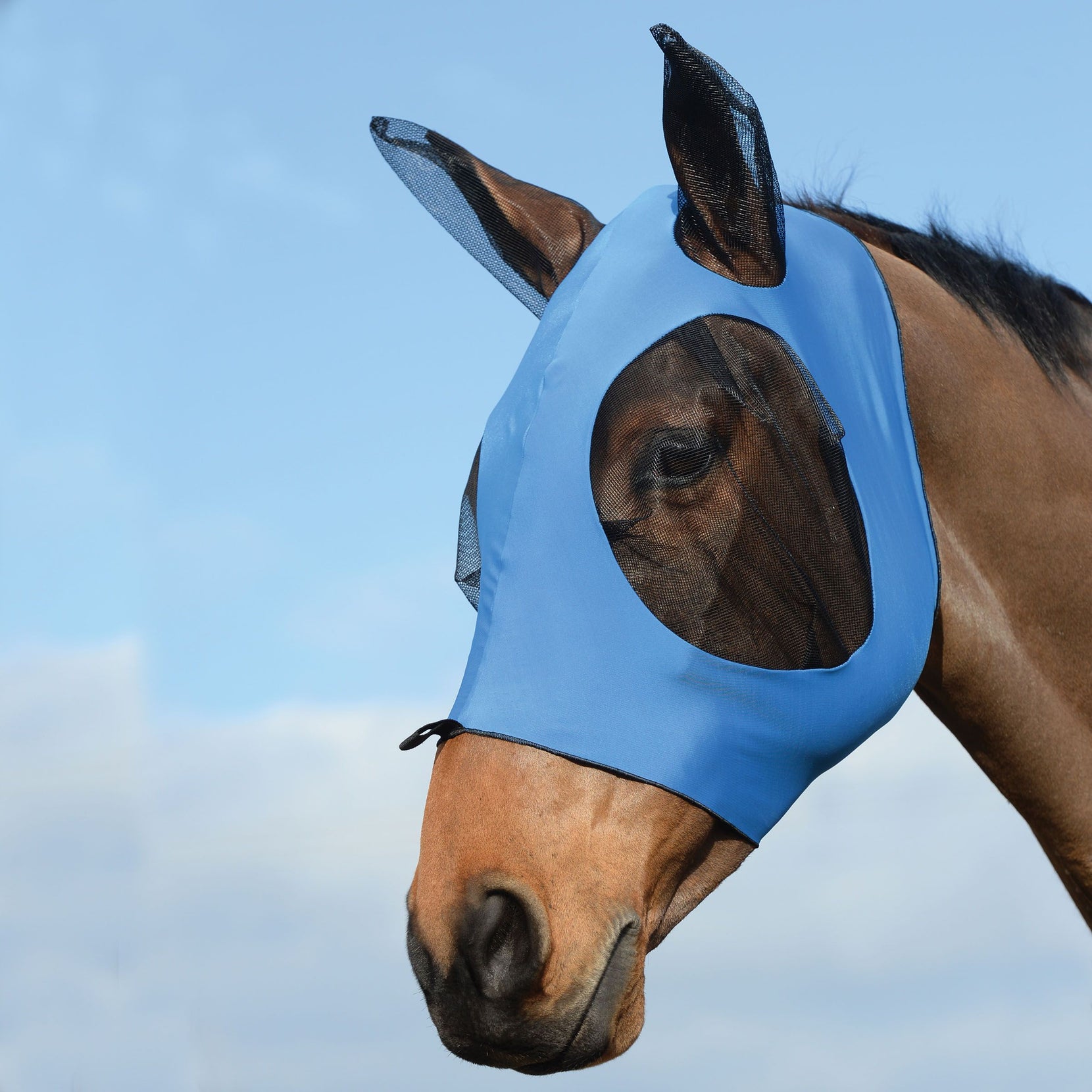 Best Fly Masks of 2021 A Buying Guide for Horse Owners