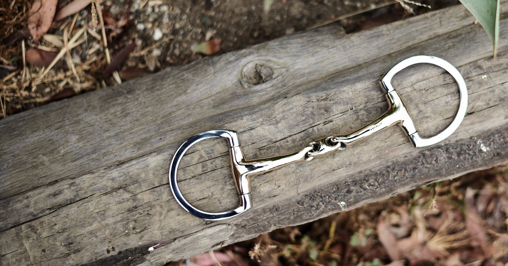 Herm Sprenger Horse Bits