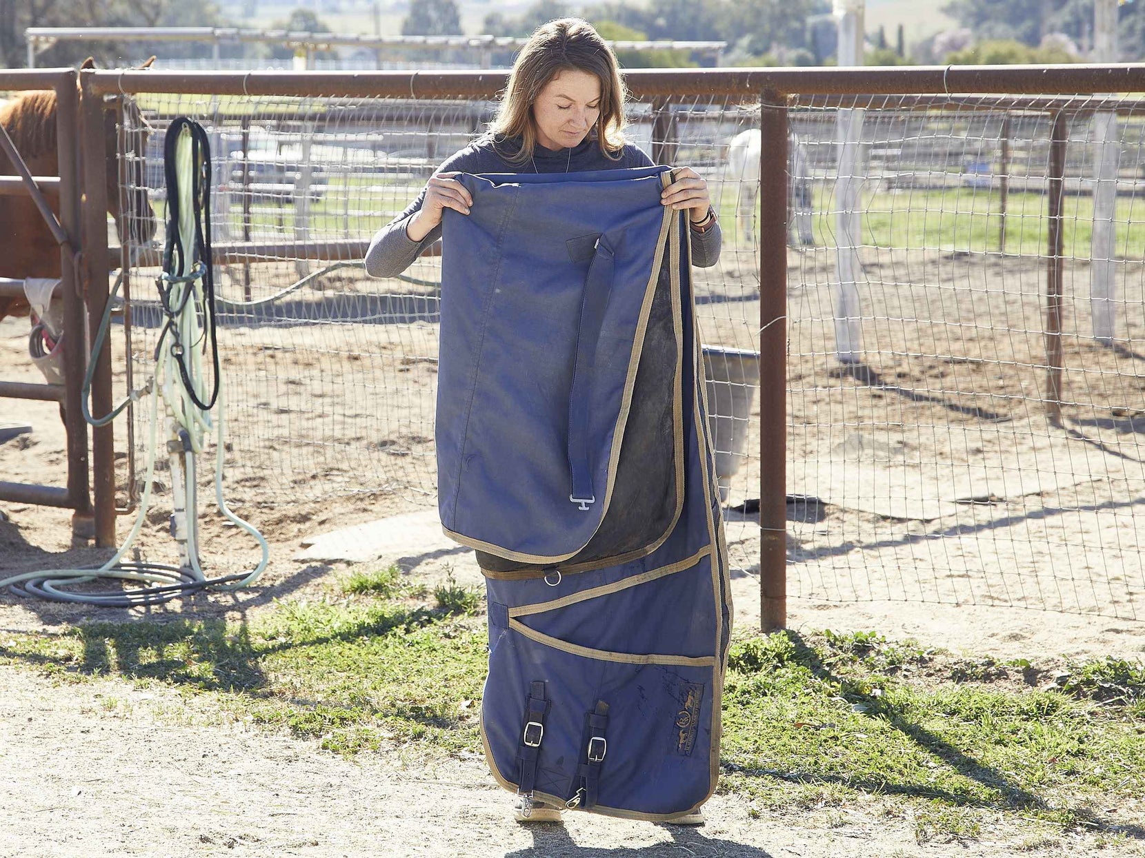 How to Choose a Winter Horse Blanket