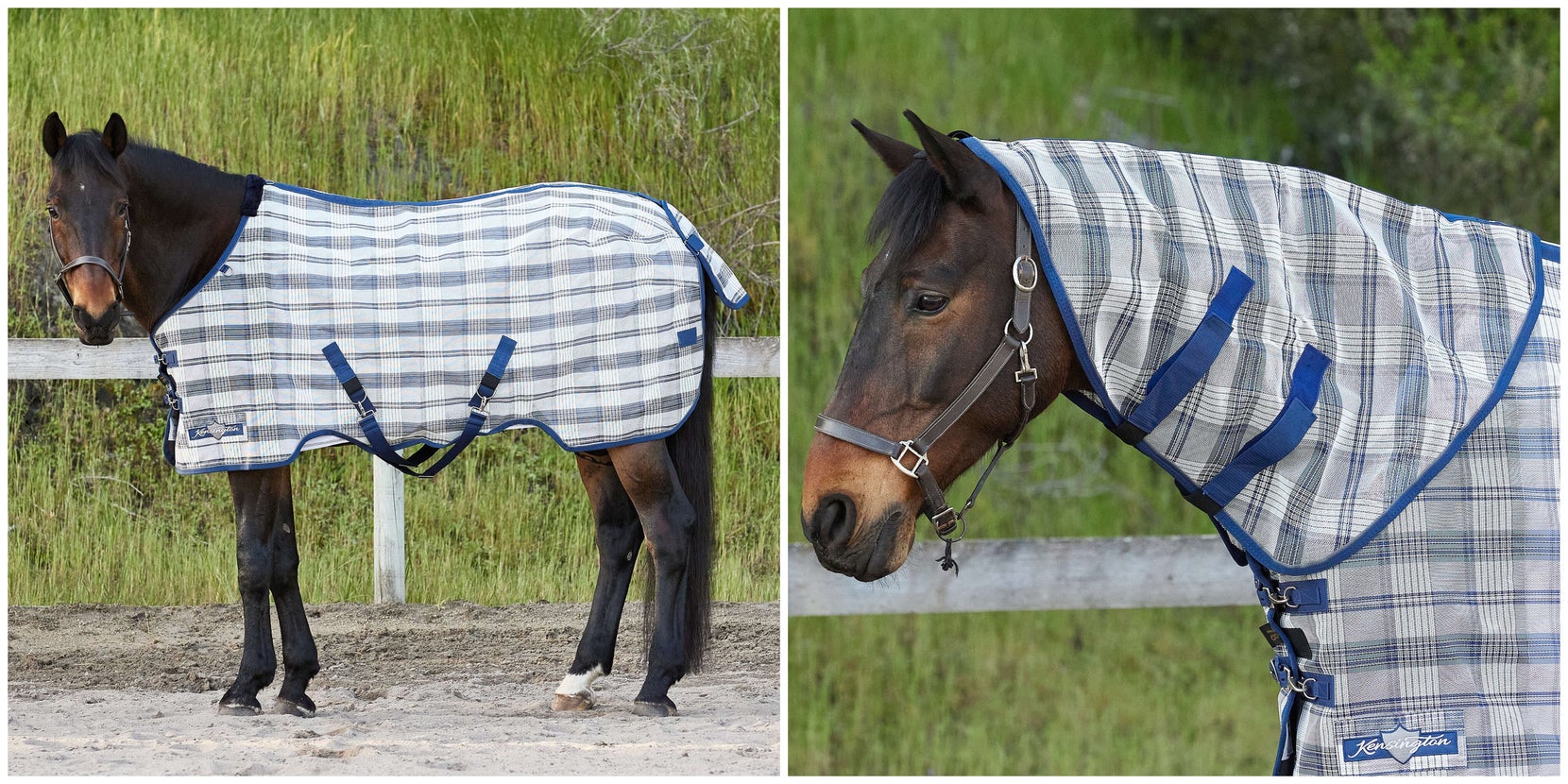 Kensington Fly Sheets, Masks, & Boots Guide