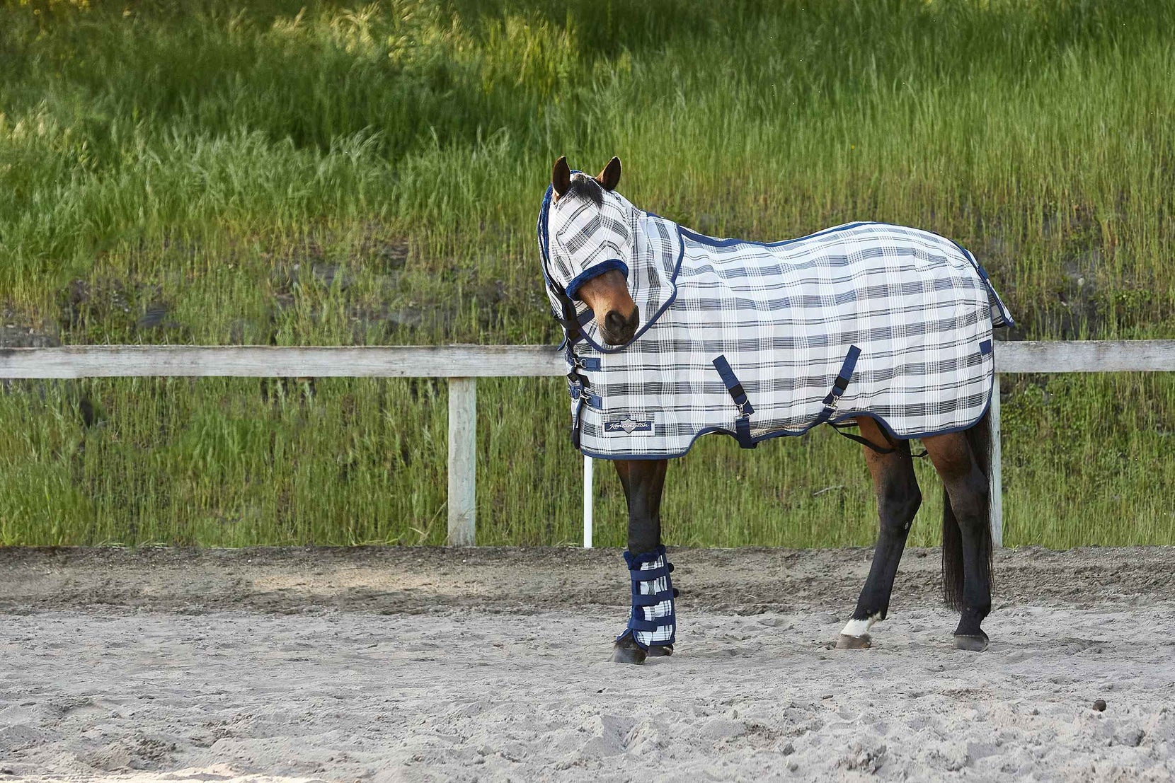 Kensington Fly Sheets, Masks, & Boots Guide