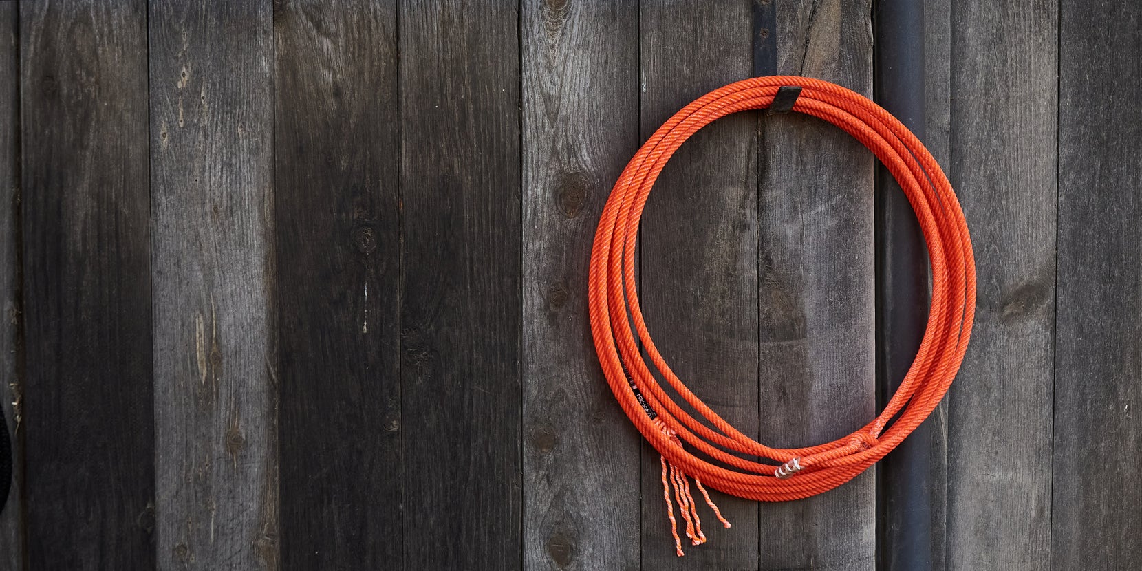 Best of Team Ropes & Breakaway Ropes for 2022