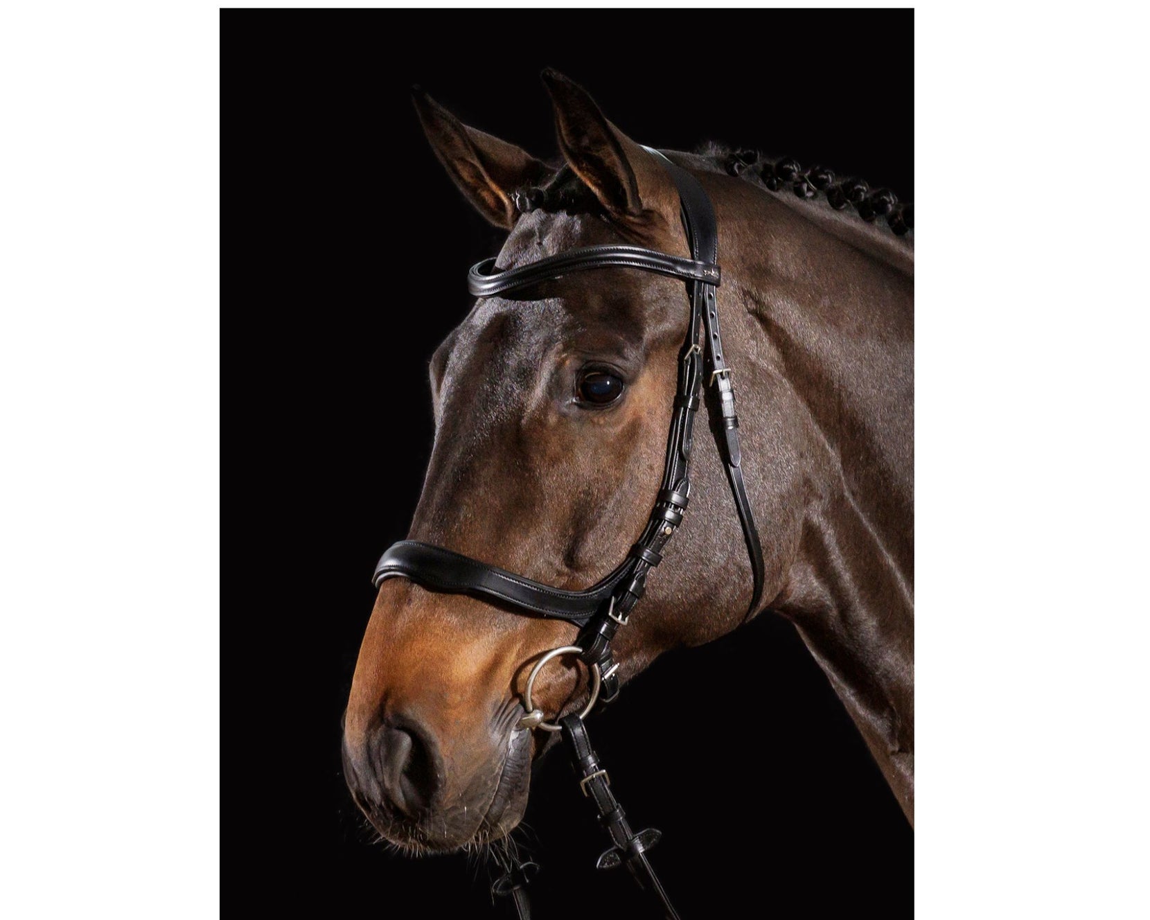 Bride Schockemöhle Equitus Alpha - Taille Cheval Complet - Noir Avec Surpiqures Argentées - Occasion