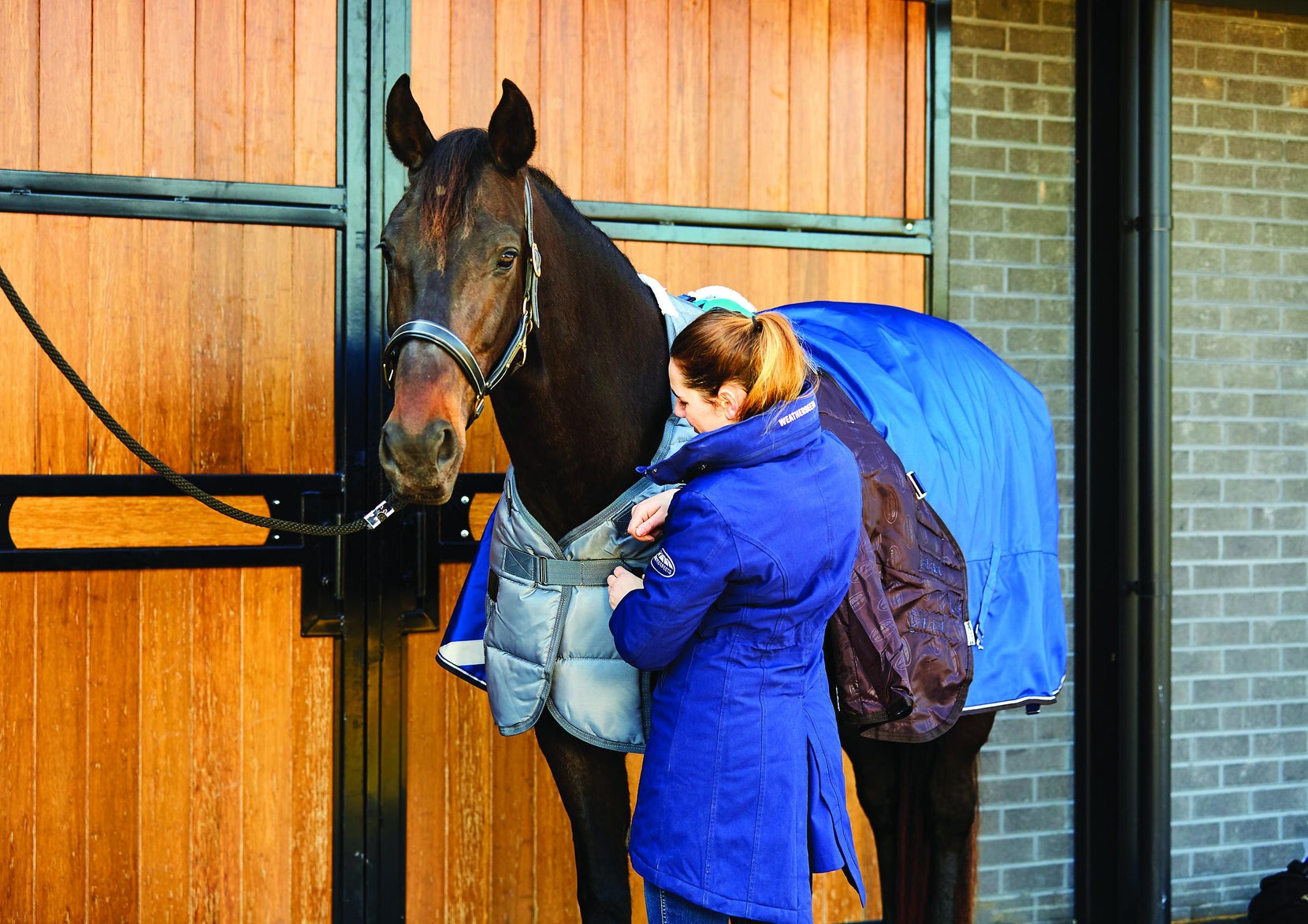 How to Choose a Winter Horse Blanket