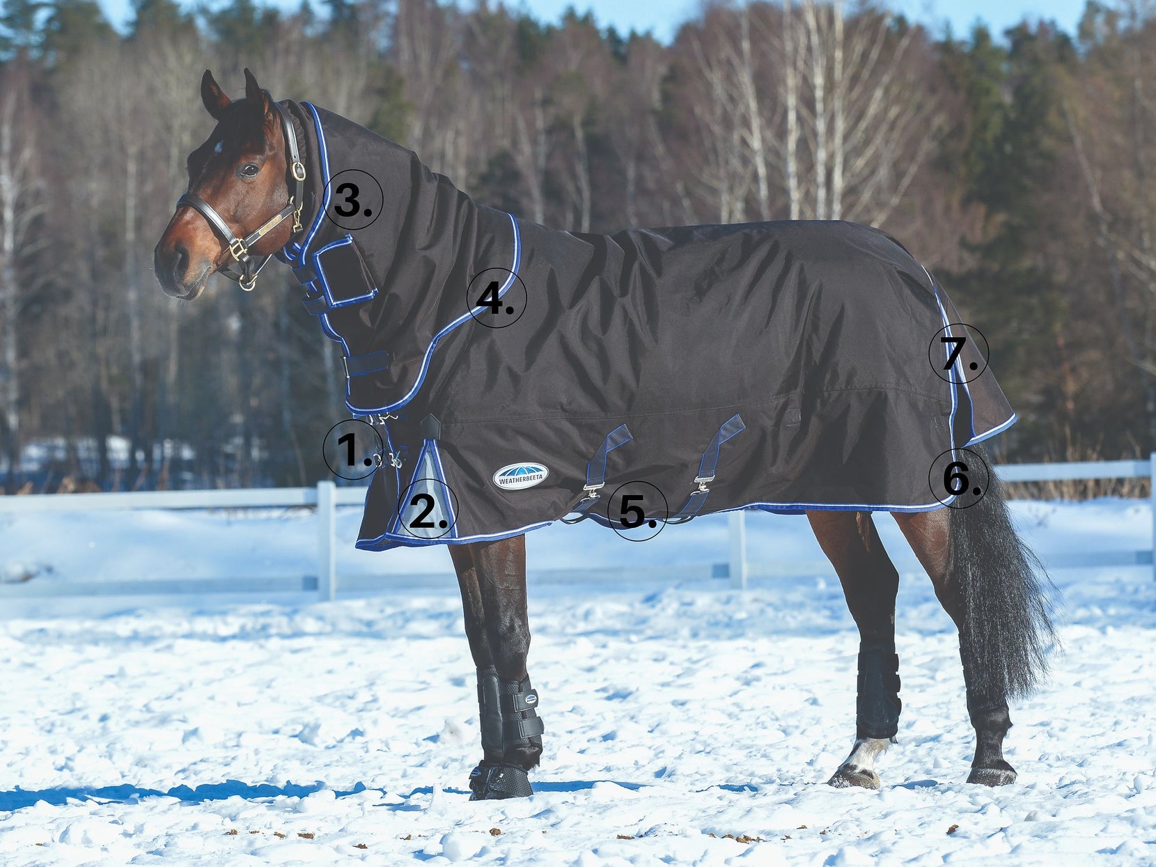 Horse Blankets The Complete Expert Guide