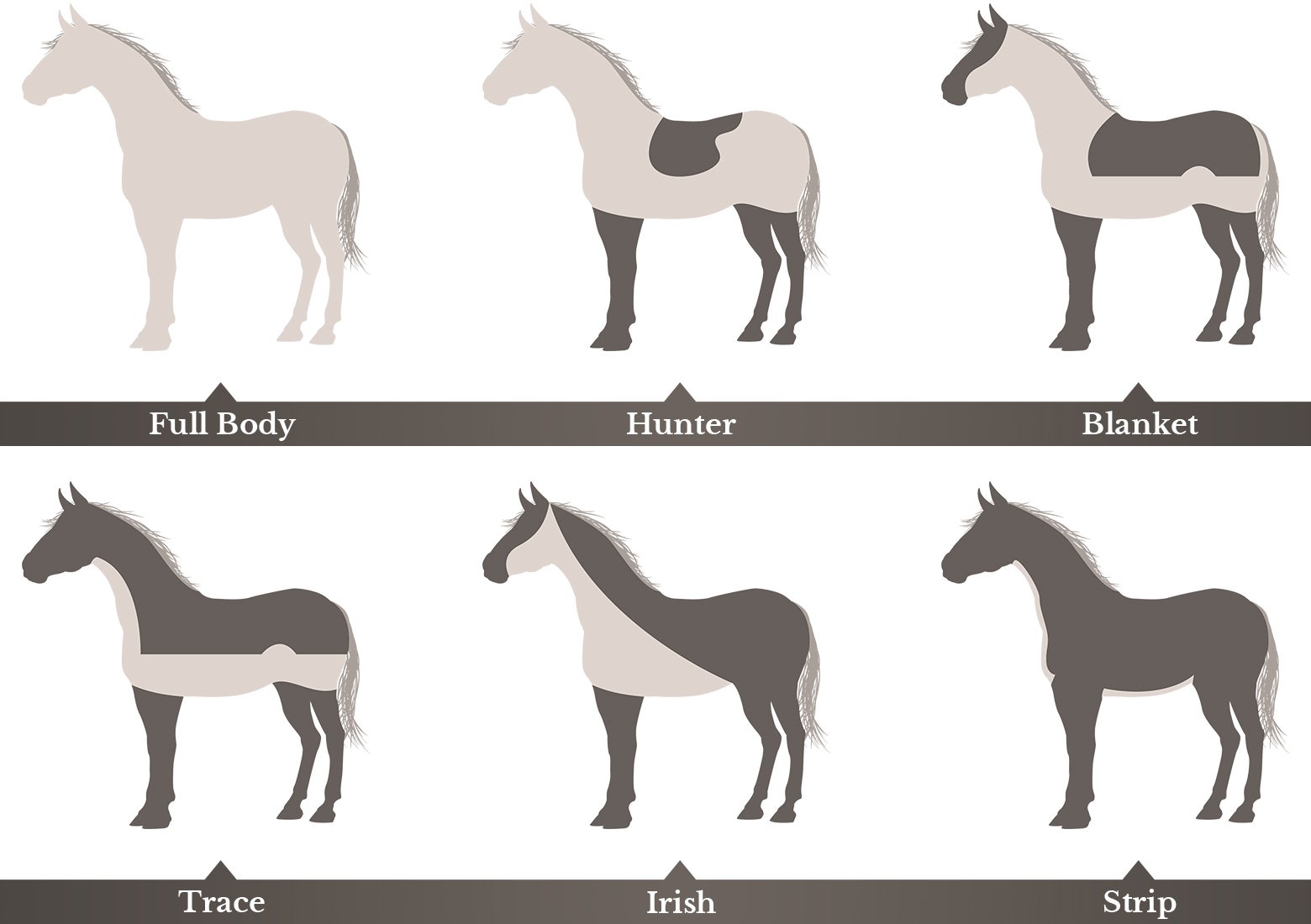 Body Clipping Horses Clip Patterns & Complete Guide