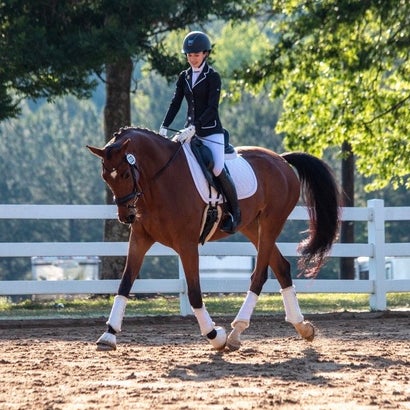 Dressage rider wearing more traditional style Dressage attire. 