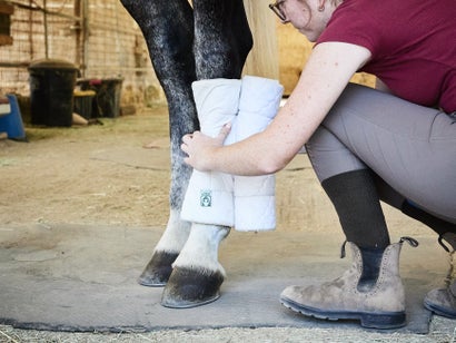 Applying the pre-rolled pillow wrap for your horse's standing wrap or stable bandage, with the interior touching the horse. 