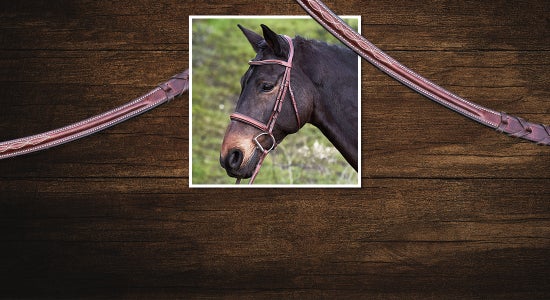 Weaver Leather Working Tack Bridle with Medium Port Mouth Bit