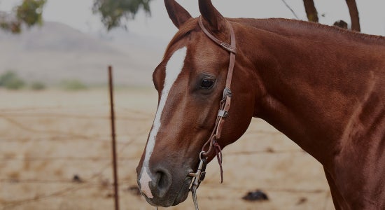 Shenandoah Slip Resistant Under Saddle Pad Liner 30x30