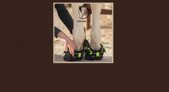 Explora Hoof Boots Review & FAQs