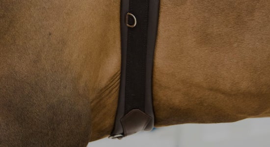 EquiFit T-Foam Belly Guard Girth- English Jumping Girths