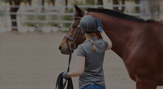 How to Lunge a Horse Safely