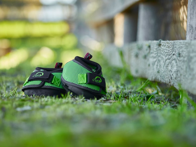 The Cavallo Trek All Terrain Hoof Boots sitting in a grassy field next to a wooden fence. They are the best hoof boots for lost horseshoes. 