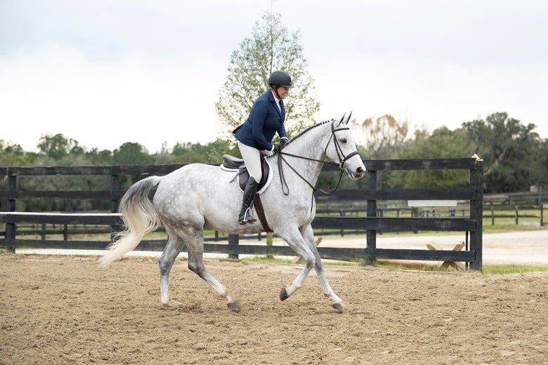 Women wearing the Affinity by Kerrits Pro Knee Patch Breeches riding a grey horse.