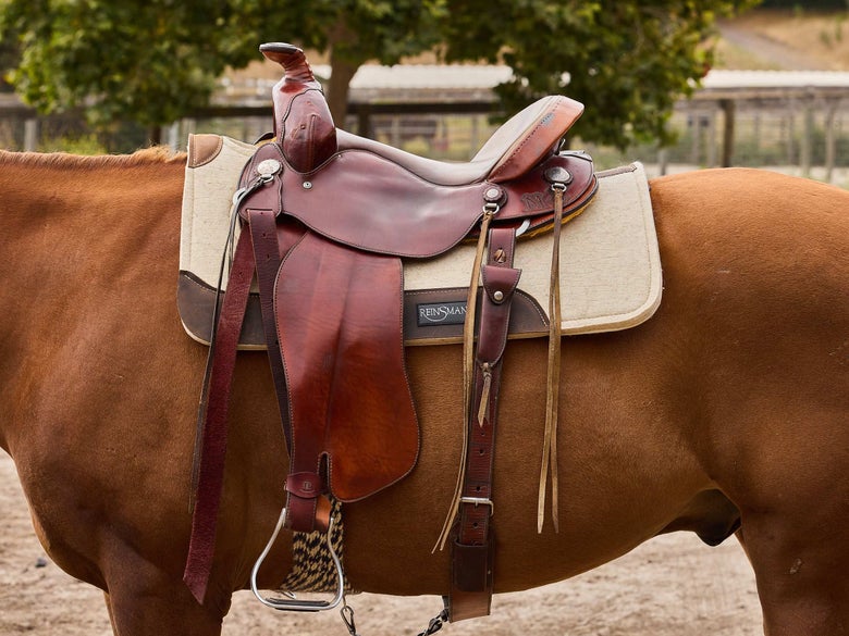 A saddled chestnut horse with felt saddle pad on.