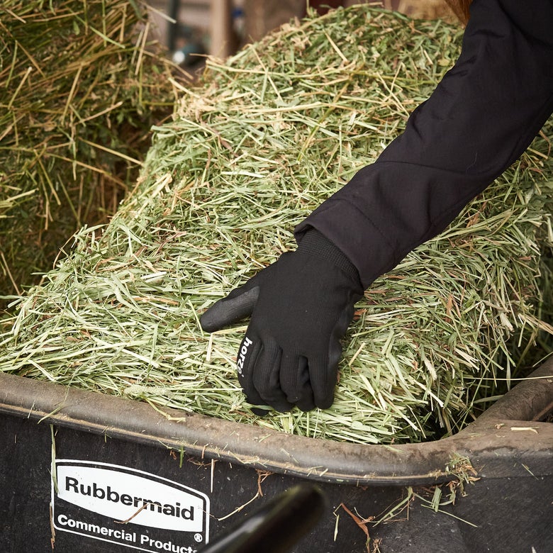 Woman placing hay in a wheelbarrow for transport. 