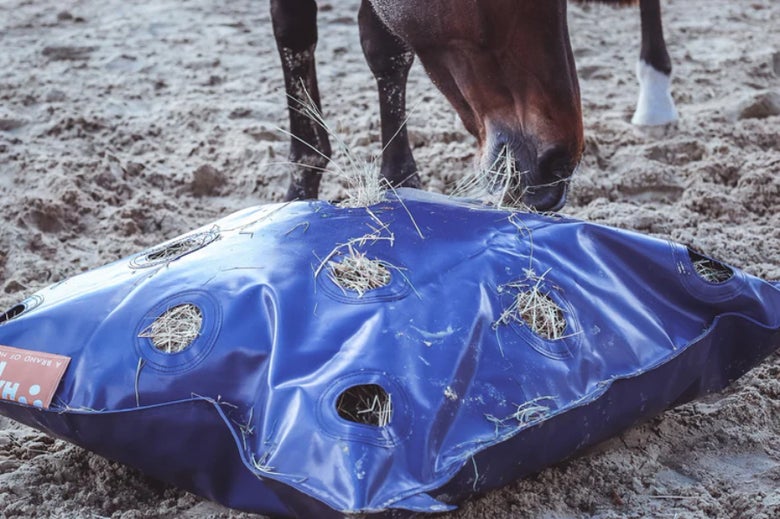 Horse eating from a GG Equine HayPlay Bag XL on the ground. 