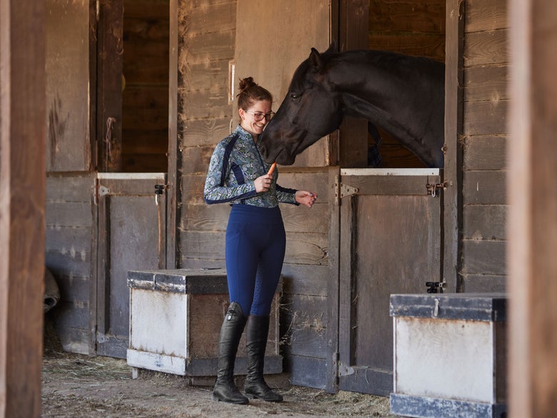 girl feeding her bay horse a carrot