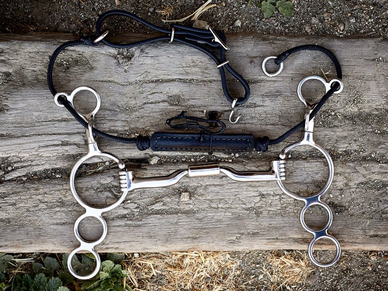 A horse bit with combination cheekpieces, laying flat on a piece of wood. 