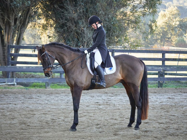 Woman on her horse in Dressage attire, at a collected halt. 