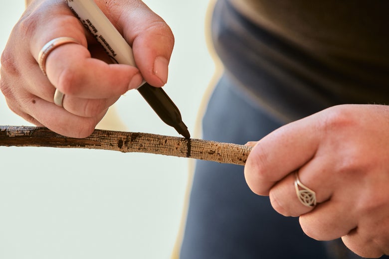 A woman marking the end of her stick measuring device with a sharpie, to have a starting point. 
