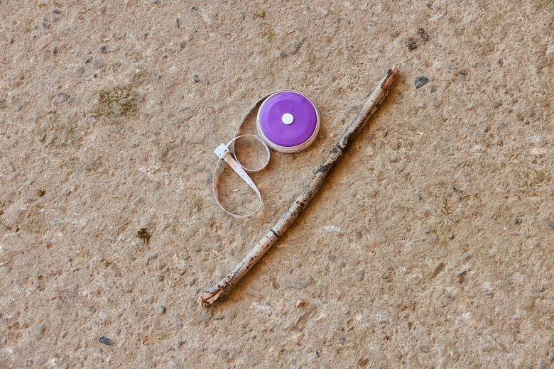 Measuring device of a smooth, straight stick and a measuring tape sitting on the ground.