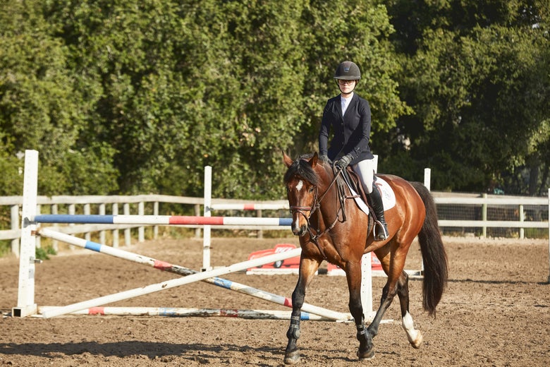 A rider on a bay horse wearing the Samshield Victorine Show Coat in black.