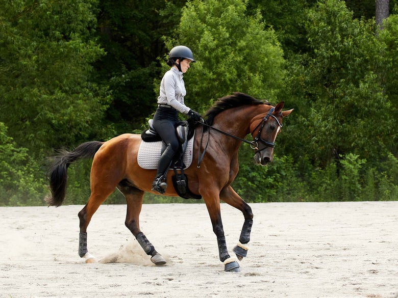 A horse and rider in an arena practicing dressage.