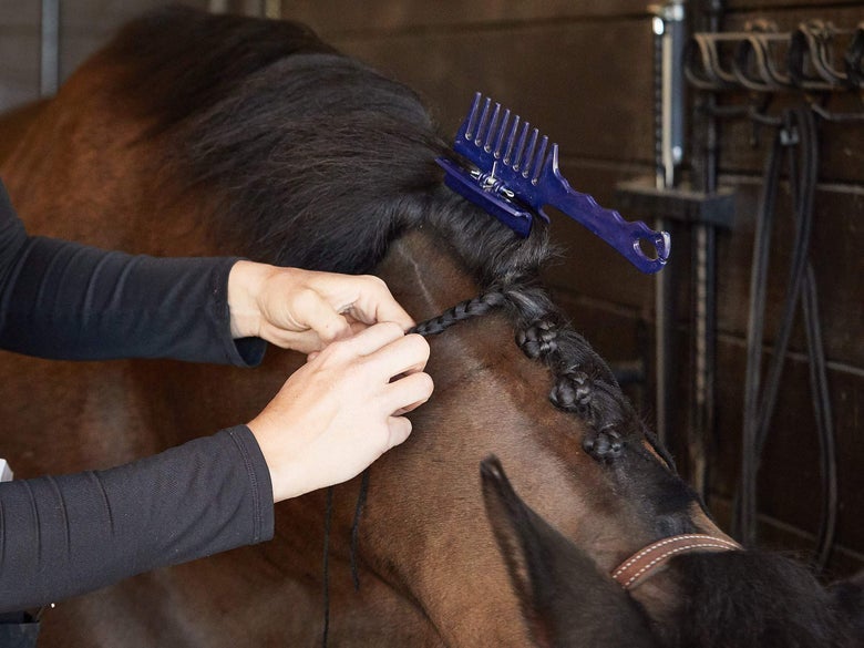 A woman braiding her bay horse's mane with a blue combination comb clip holding back the excess mane. 