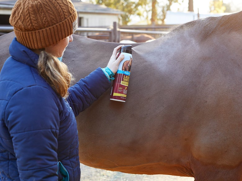 Woman applying a coat shine spray to a horse's coat.