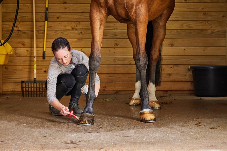 A woman crouching on the ground, applying a hoof oil to her bay horse's hooves.
