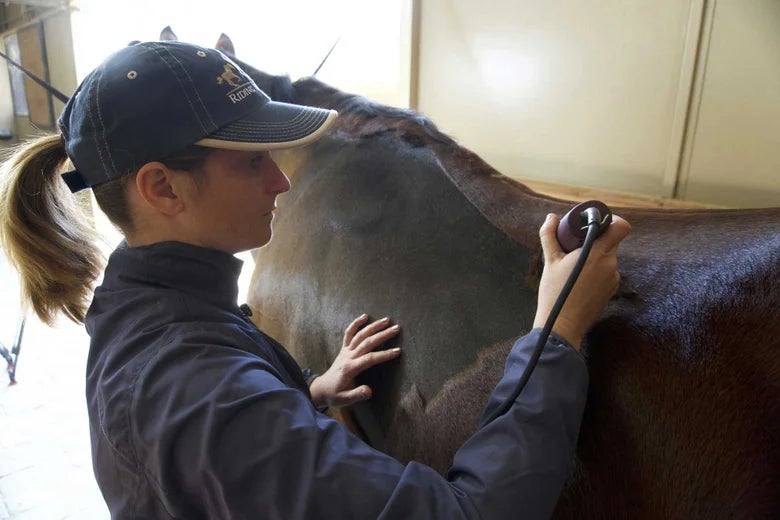 Woman in jacket and ball cap body clipping her horse's back. 
