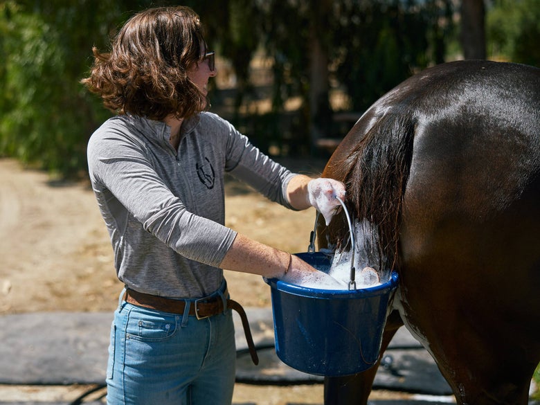 Sudsing up a bay horse's tail with soap from a soapy bucket. 