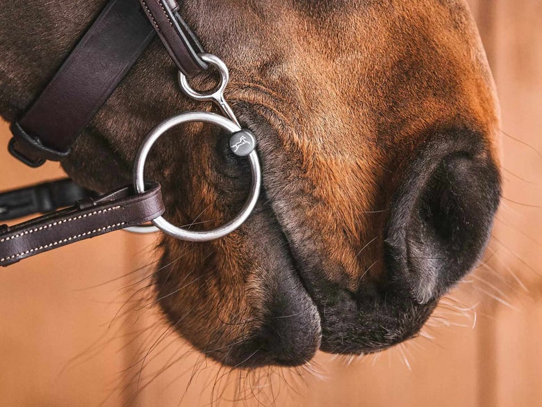 Fager Baucher bit with Loose Ring cheekpieces.