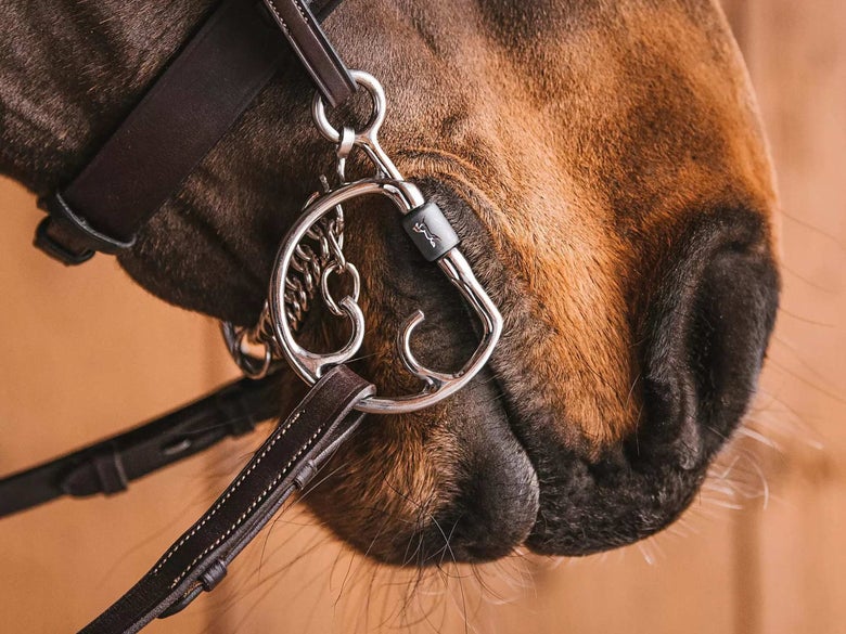 Fager bit with Kimblehook cheekpieces.