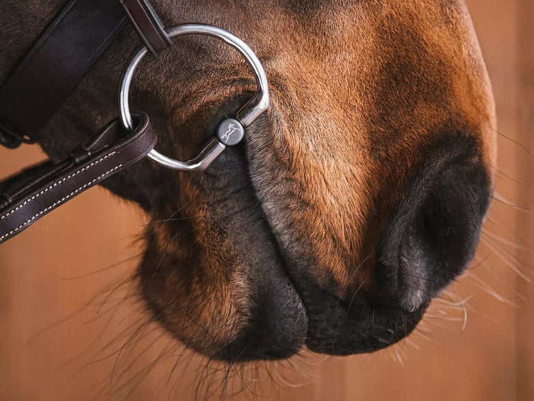 Fager snaffle bit with fixed ring cheekpieces.