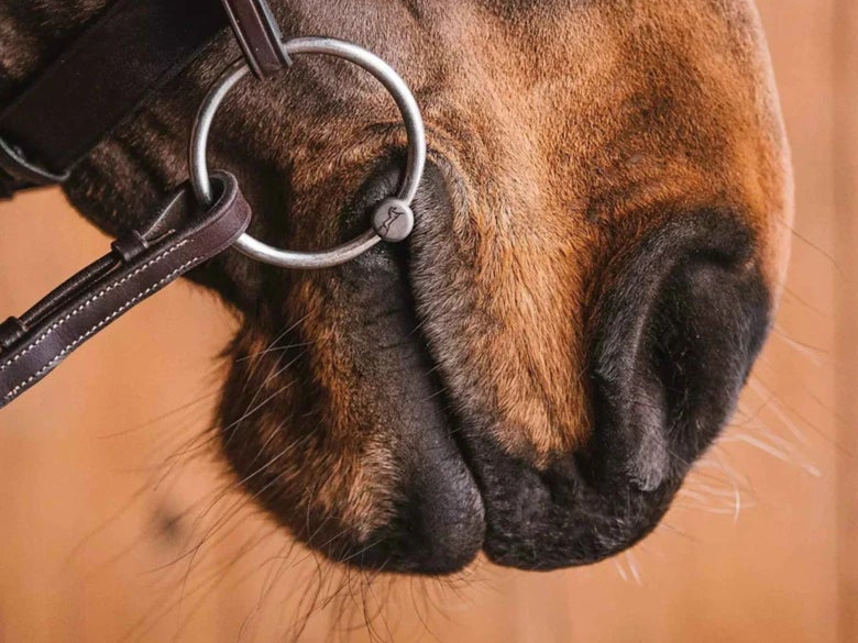 Fager snaffle bit with Loose Ring cheekpieces.