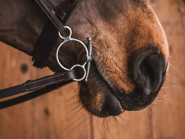 Fager bit with universal cheekpieces. 