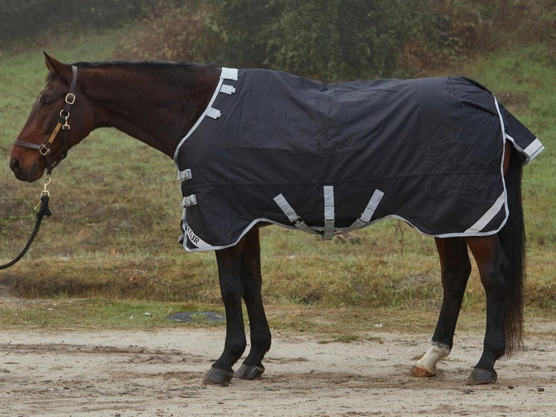 A bay horse wearing the Centaur TG1 Waterproof Turnout Blanket.