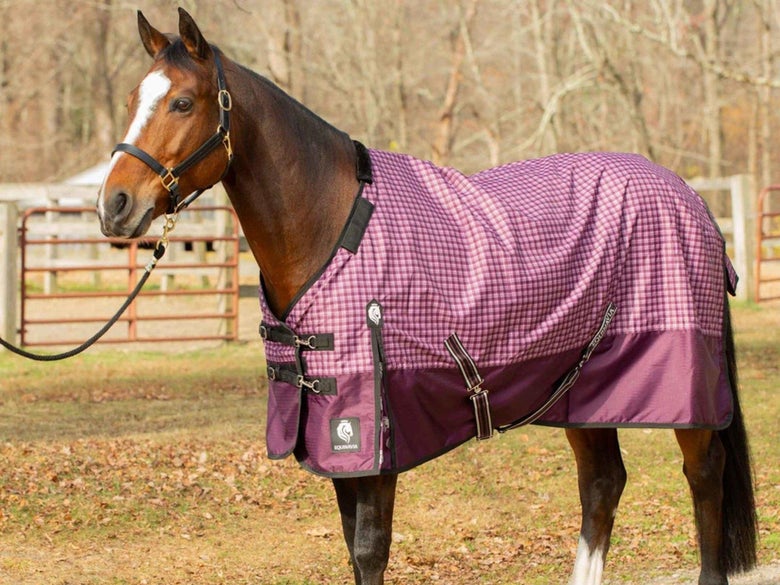 A bay horse wearing the Equinavia Norse Light Turnout Blanket.