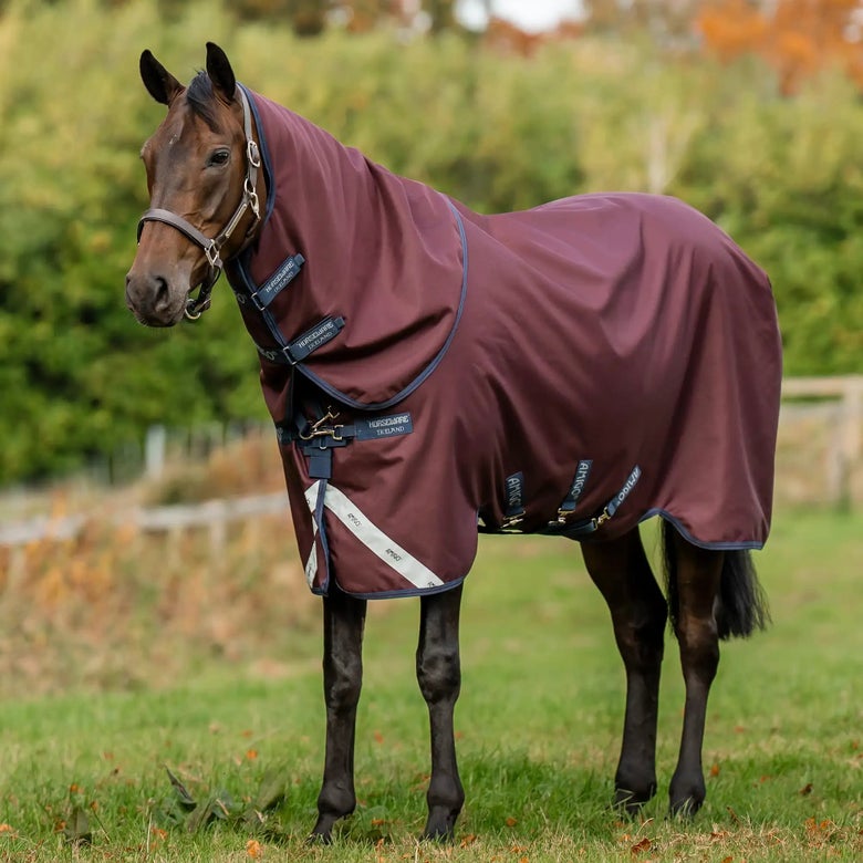 The Horseware Amigo Turnout blanket in burgundy, on a bay horse in a pasture. 