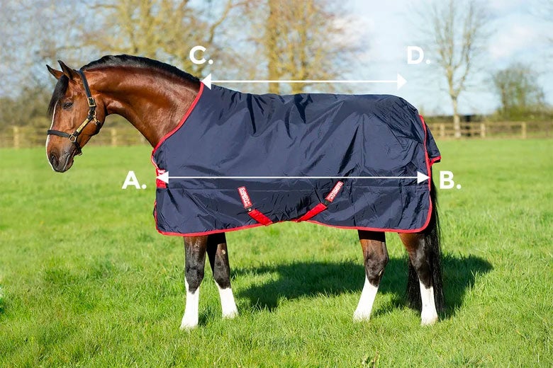 Diagram guide with lettered arrow references showing how to measure for correct Horseware blanket sizing
