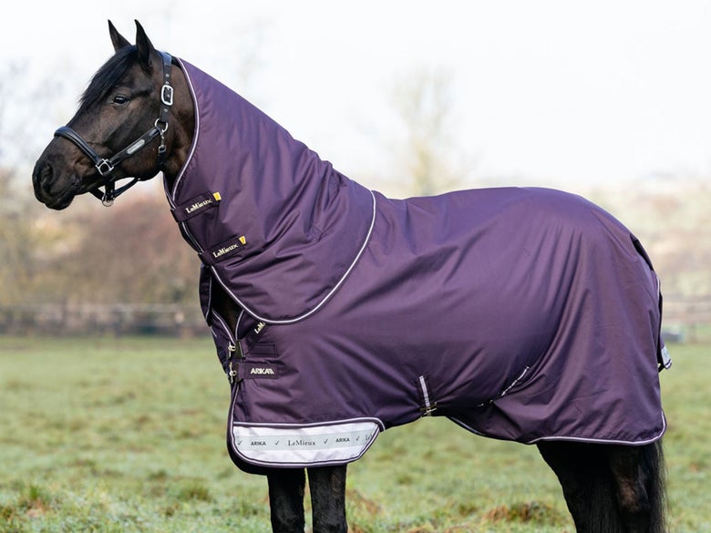 A dark bay horse standing in a field wearing the LeMieux Arika Rug Ripstop Turnout Blanket.