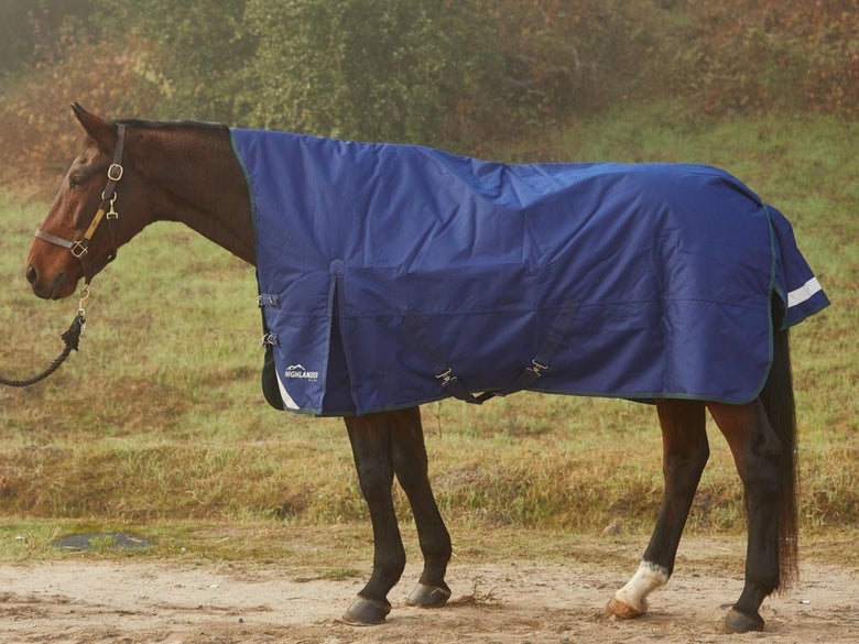 A bay horse wearing the Shires Highlander Plus High Neck Turnout Blanket.