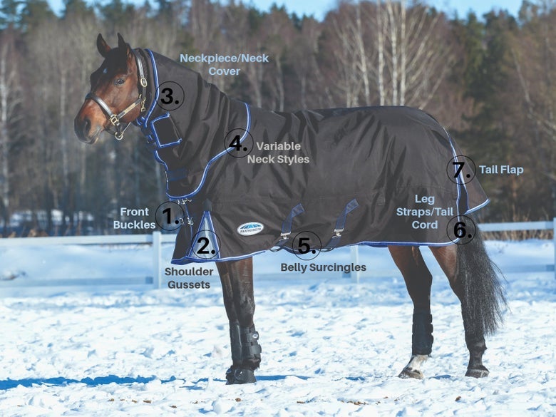 A labeled picture showing parts and features of a winter horse blanket on a bay horse in the snow. 