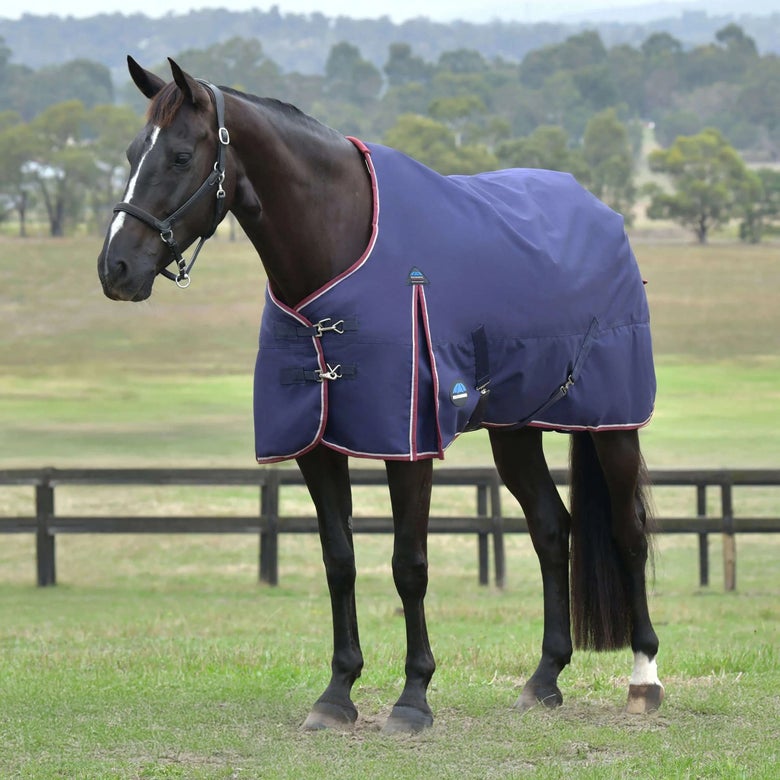 A dark horse wearing a navy WeatherBeeta Standard 50g blanket, standing in a pasture. 