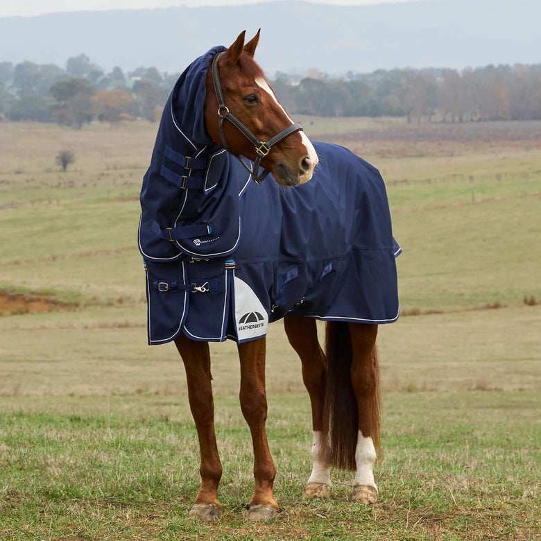 A chestnut horse wearing a navy WeatherBeeta ComFiTec ULTRA 1800D Turnout Blanket 220G in a green pasture. 