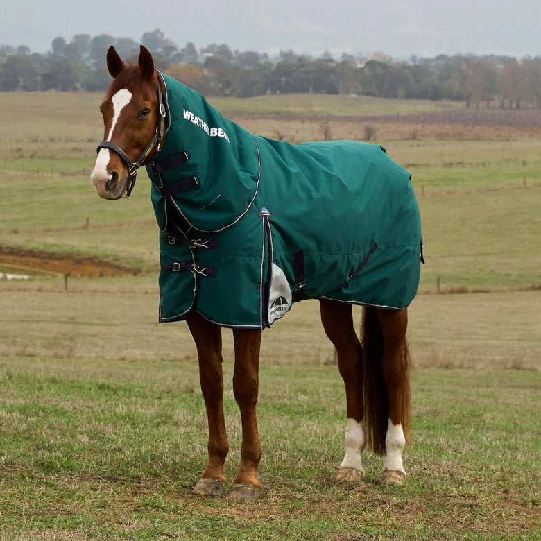 A chestnut horse wearing a green WeatherBeeta PLUS Dynamic Detach-A-Neck Blanket 360G in a pasture.